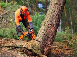 Soil Testing and Treatment in Fair Lawn, NJ